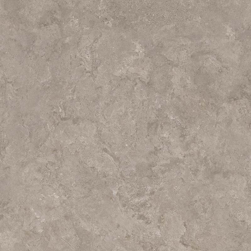 8163 На пол Shell DG 60х60 - фото 7