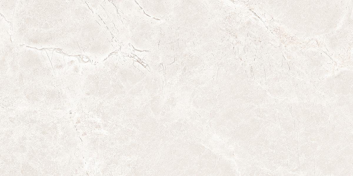 На пол Iconic Dew Matt 60x120 - фото 5