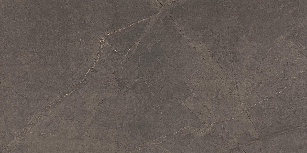 30100524400901 На пол Adria Mocha Matt Rectified 60x120 - фото 4