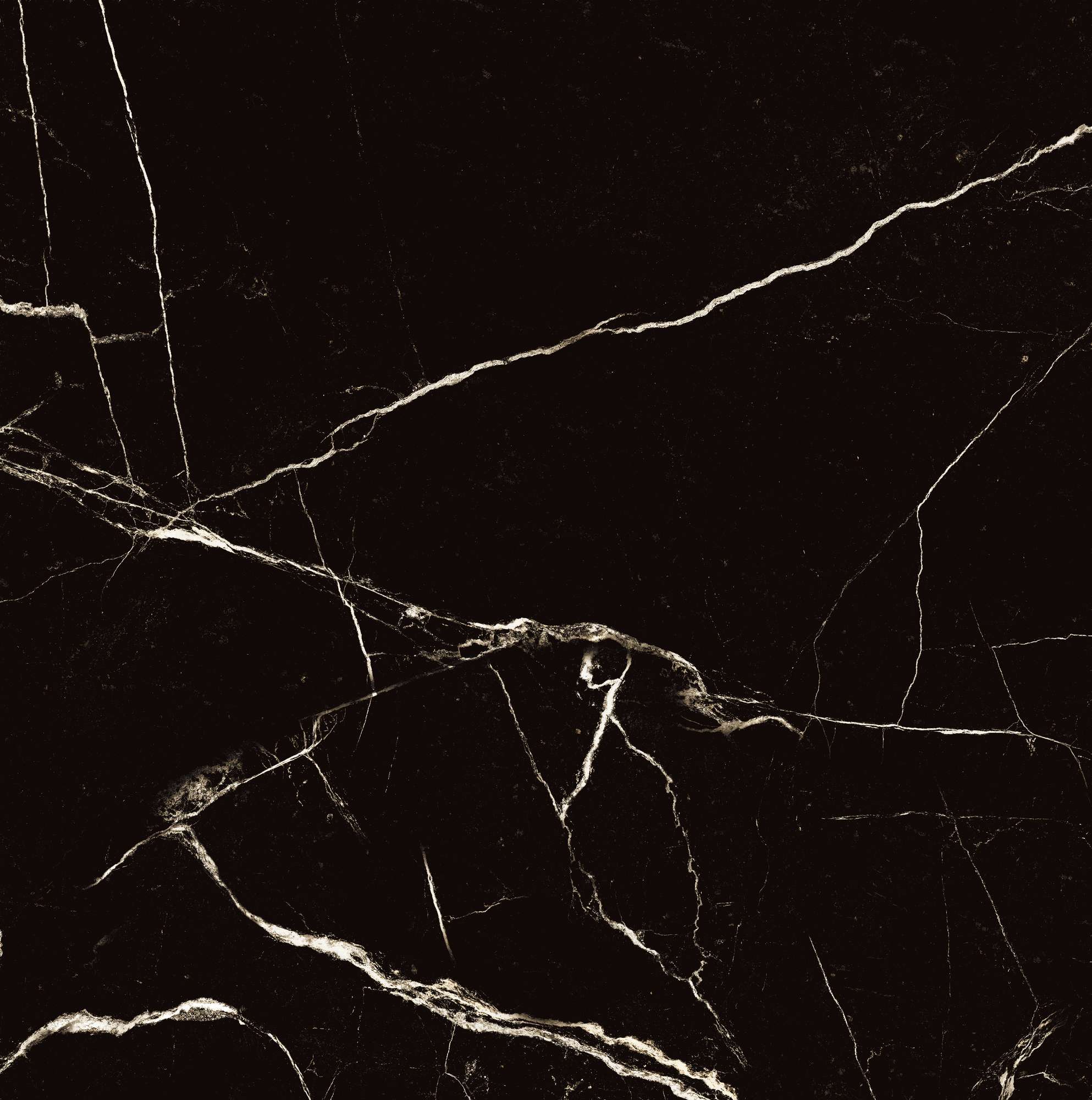 HG2008-A На пол Black Spinder High Gloss 60x60 - фото 7