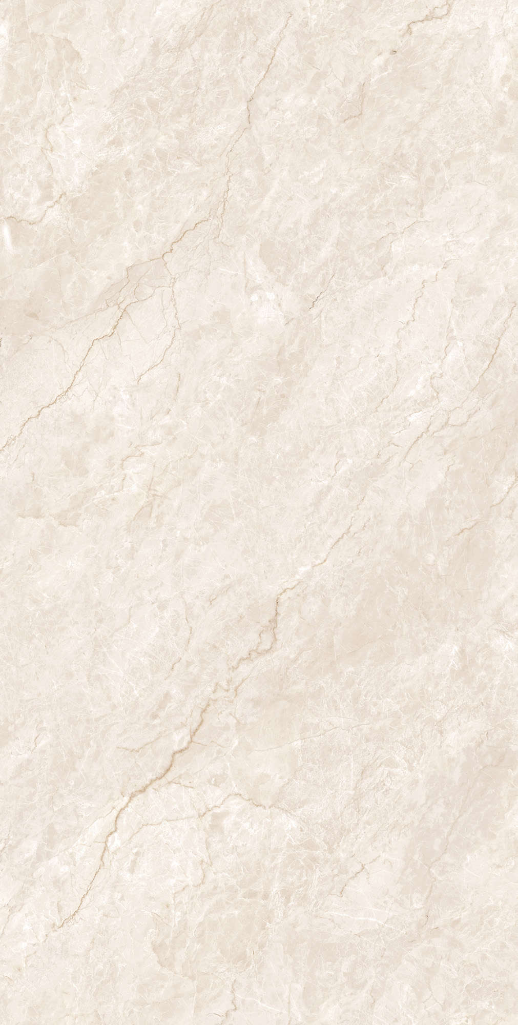 CZ-GL04-B На пол Ferrol Pearl Matt Glossy Ink 80x160 - фото 4