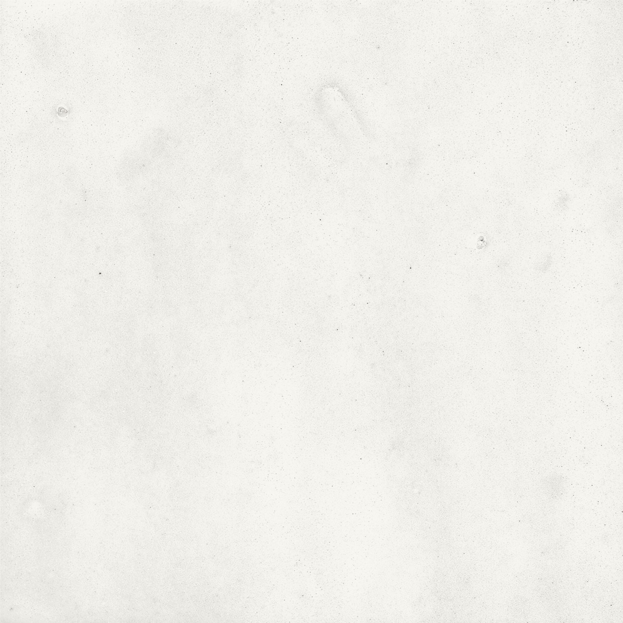 43294 На стену Samira White 10x10 - фото 30