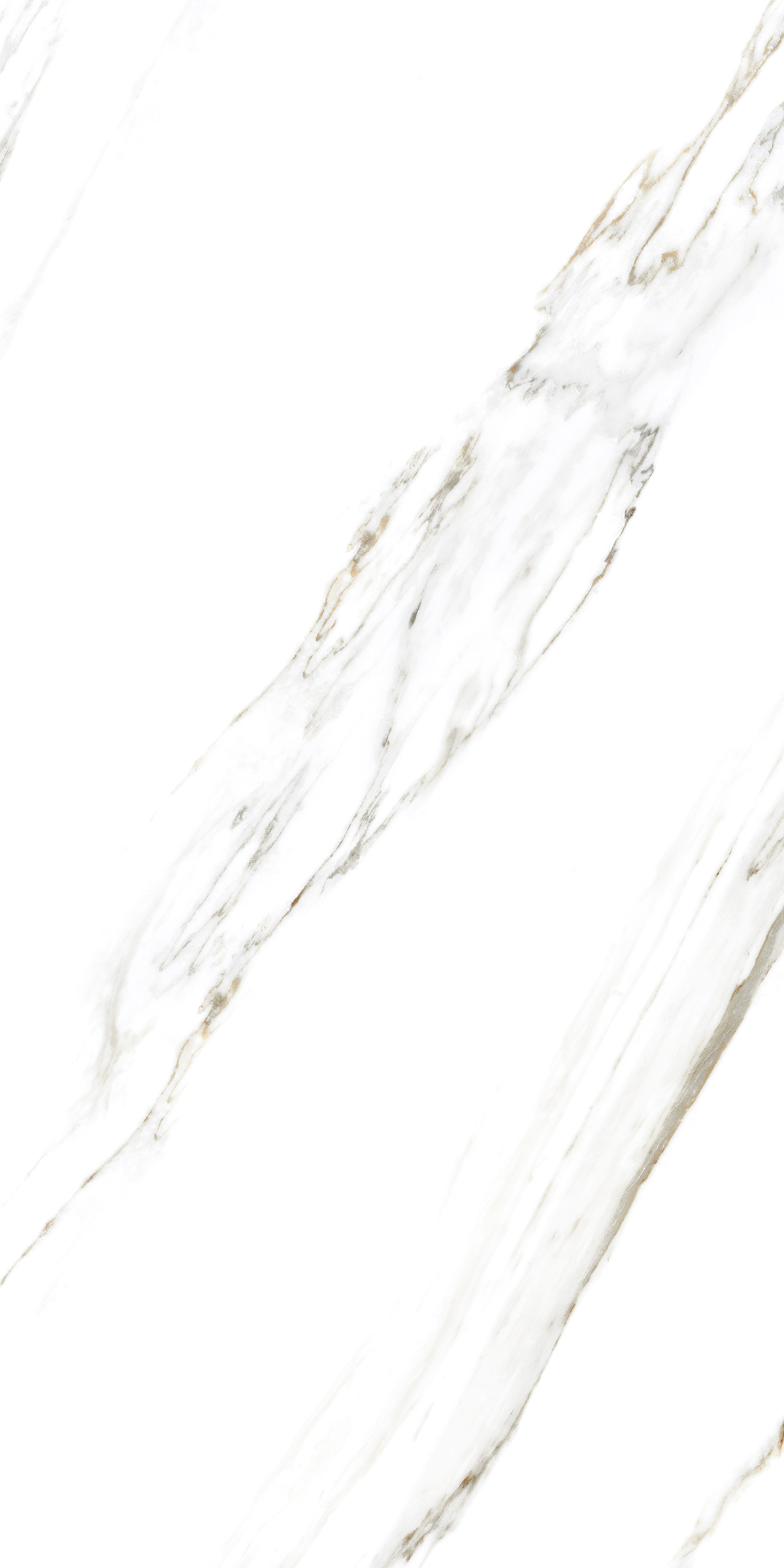 885  На пол Marble 5.5mm Calacatta Caldia 120x60 - фото 4