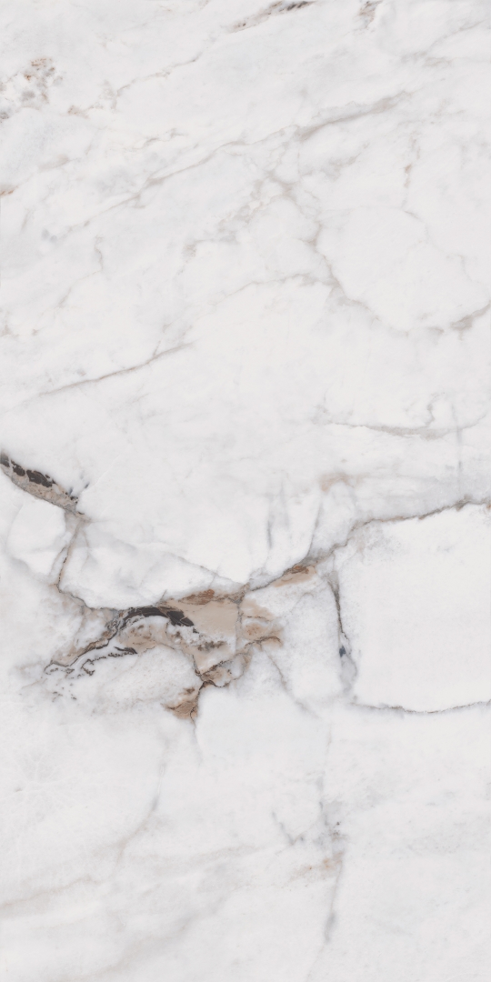 MOG103/PS_NC/60x120x9R/GW На пол Marble MOG103 White полированный 60x120 - фото 2