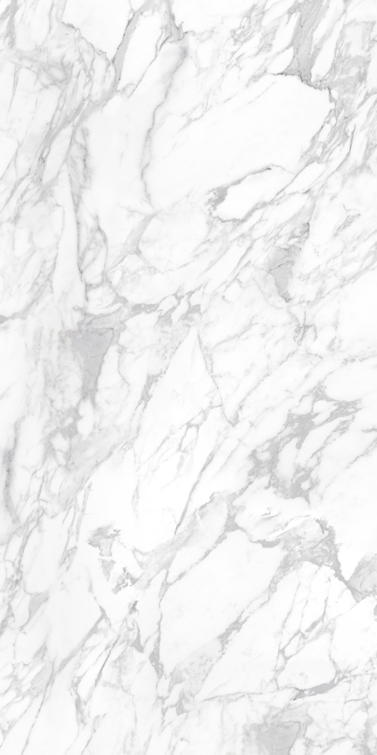 010400001373 На пол Platinum White PG 11 60х120 - фото 5