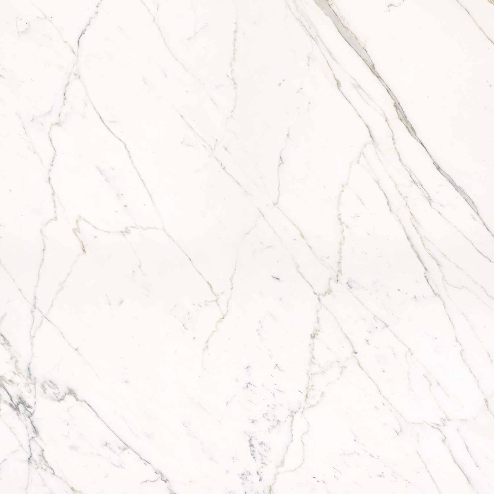 59A2 На пол Elements Lux Calacatta Statuarietto Lappato RT 120x120 - фото 6