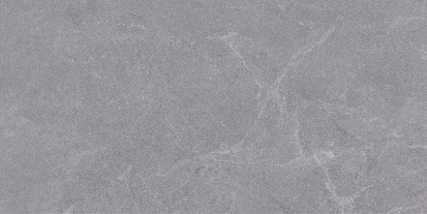 На пол Silk Alpine Gris Matt 60x120 - фото 3