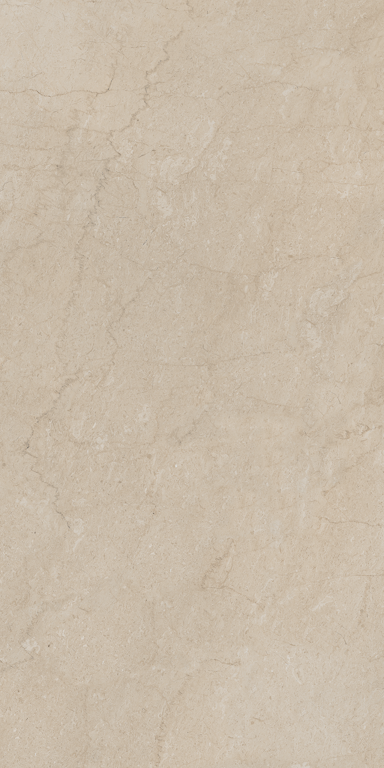 AEM01/NS_R9/80x160x10R/GW На пол Элемента AEM01 Бежевый Неполированный Рект 80x160x10 - фото 3