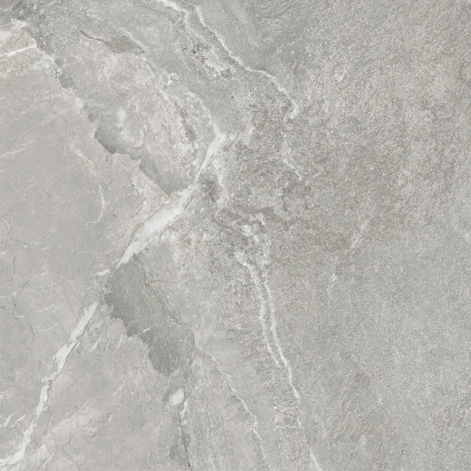 D60259M На пол Wild Light матовый 600x600x9.5 - фото 15