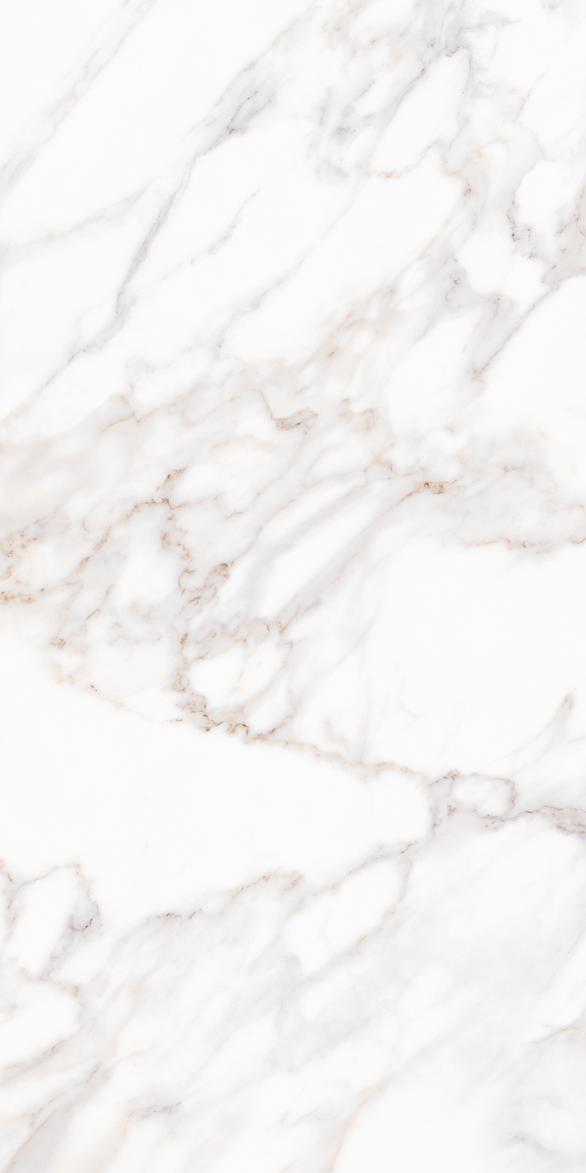 MPL-058632 На пол Calacatta Calacatta Satin 80x160