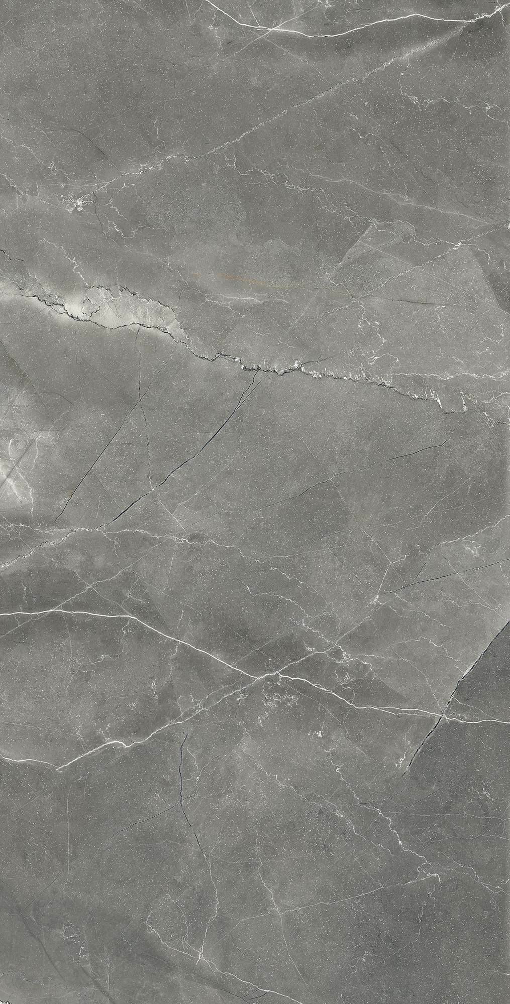 CR4002-A На пол Pulpis Nero Carving 60x120