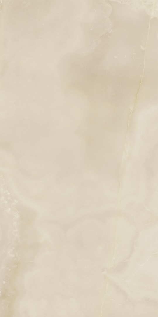 610015000404 На пол Charme Evo Floor Project Оникс 60x120 Люкс и Реттифицированный - фото 6