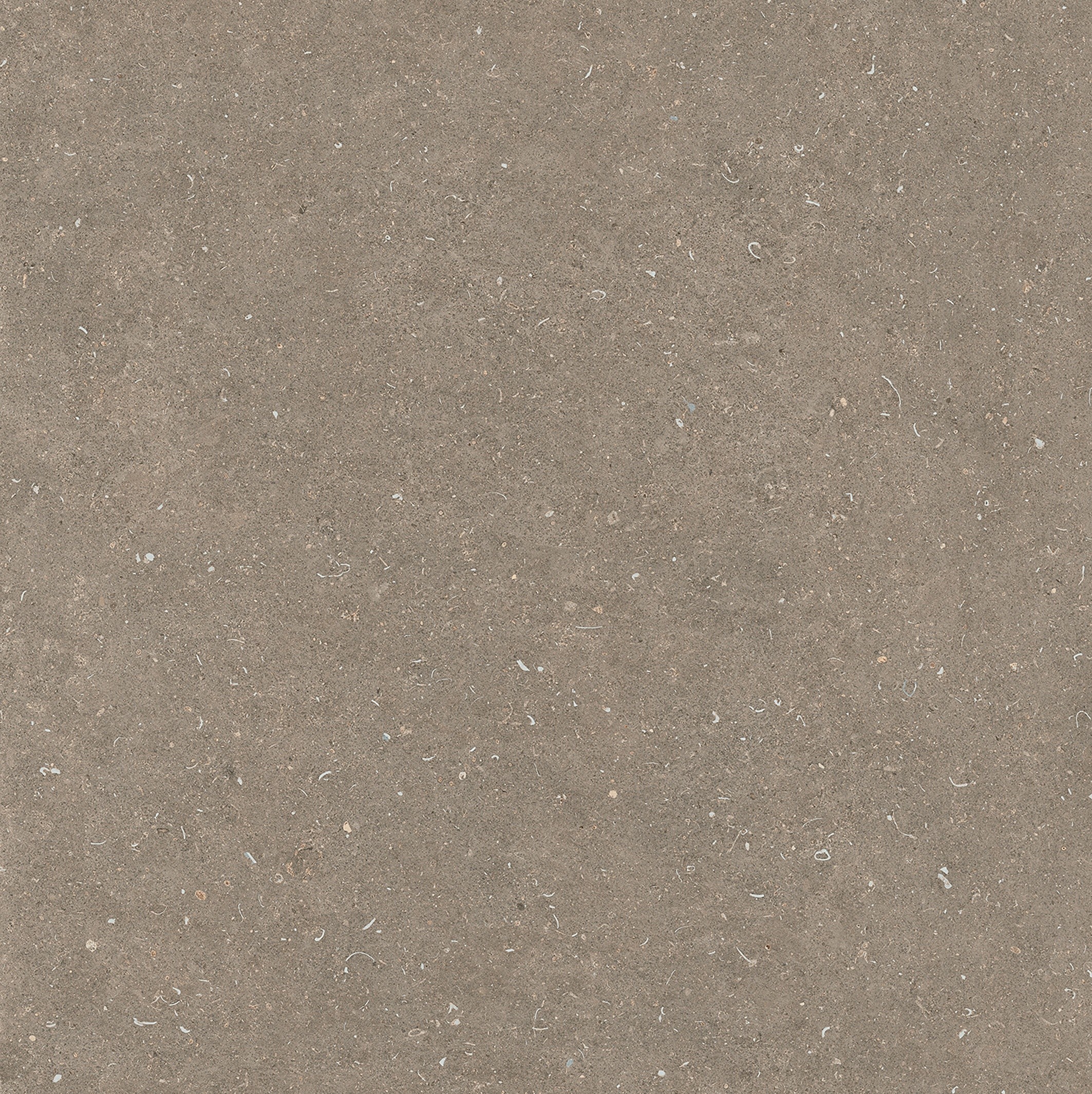 785580 На пол Rinascenza Arena Pietra Matte 6mm 120x120 - фото 5