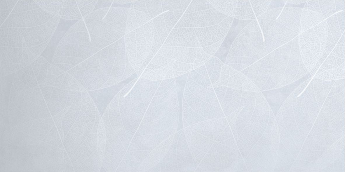 Декор Eleganza Sky Arte Carving 60x120