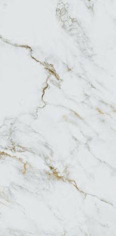 MG205 На пол Olga Gold Matt Granula 60x120 - фото 5