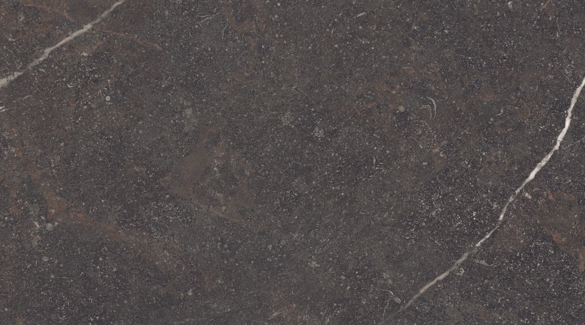 42912 На пол Museum Royal Brown SP/100X180/R 100x180 - фото 14