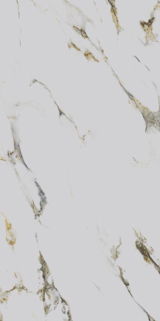 PR219 На пол Fantasy Mix Polished 600х1200х9