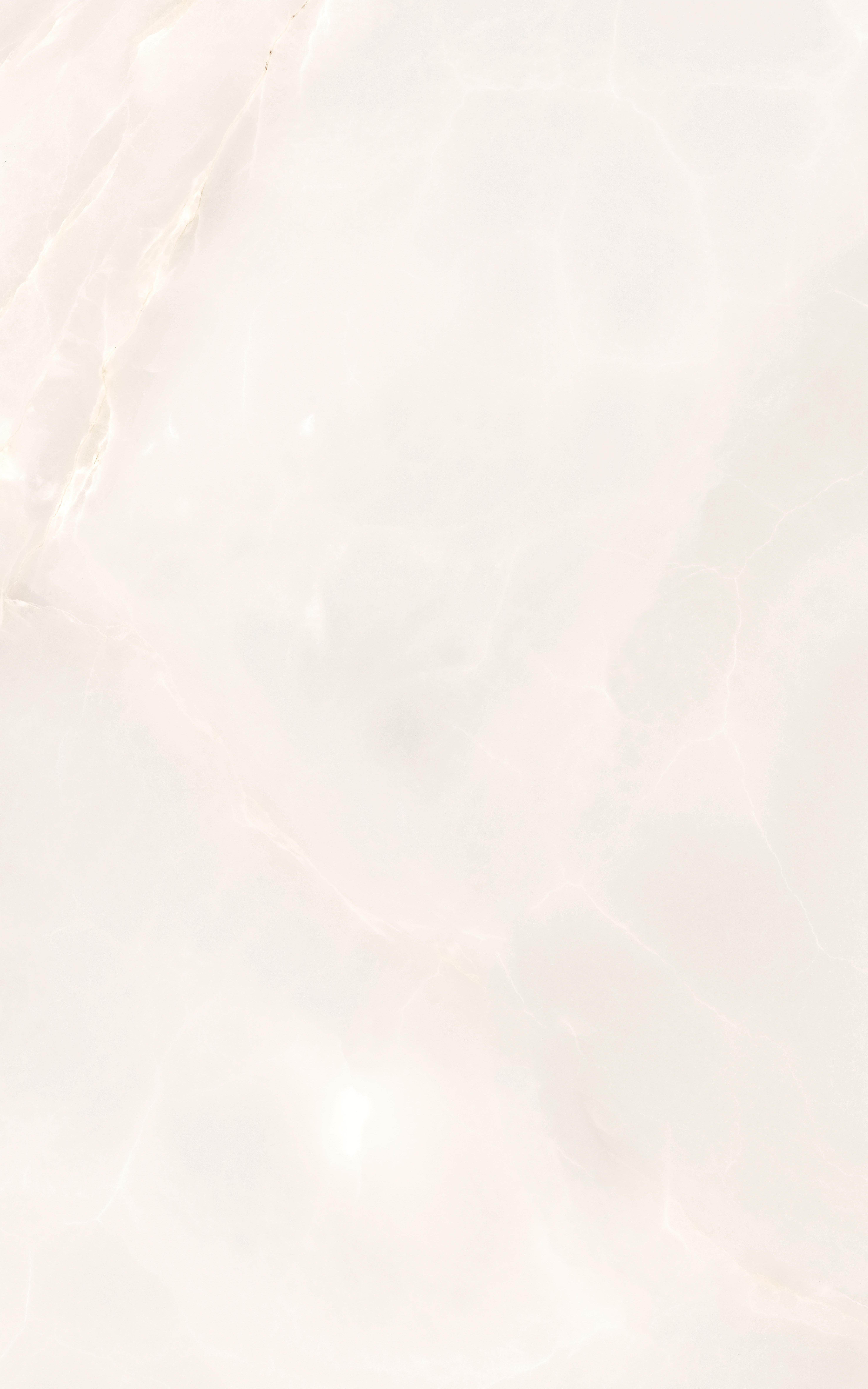 010100001175 На стену Флора Бежевый верх 01 25х40 - фото 4