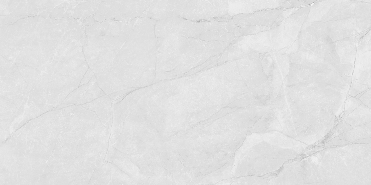 LP6012G0231R  На пол Berna Silver светло-серый матовый 59.5х119.1 - фото 4