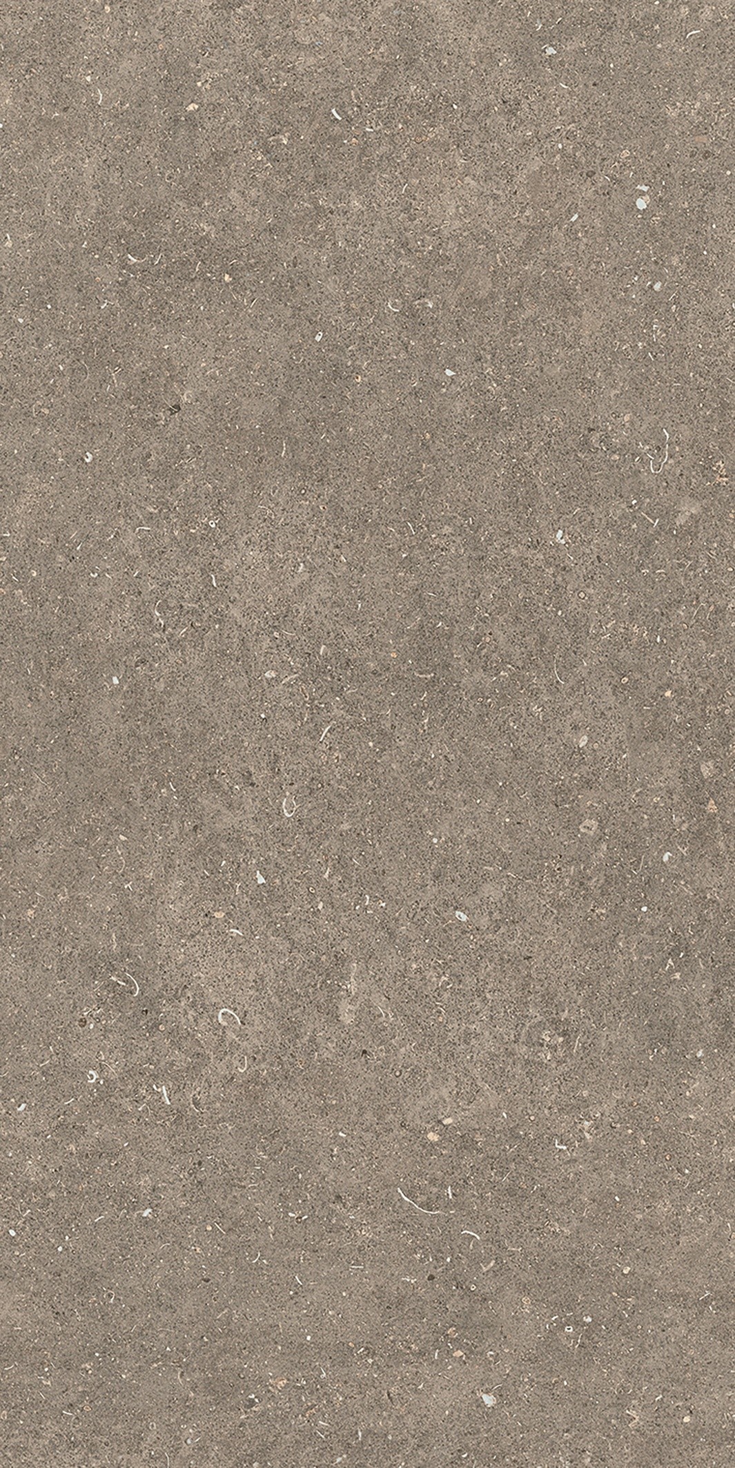 785576 На пол Rinascenza Arena Pietra Matte 6mm 60x120 - фото 6