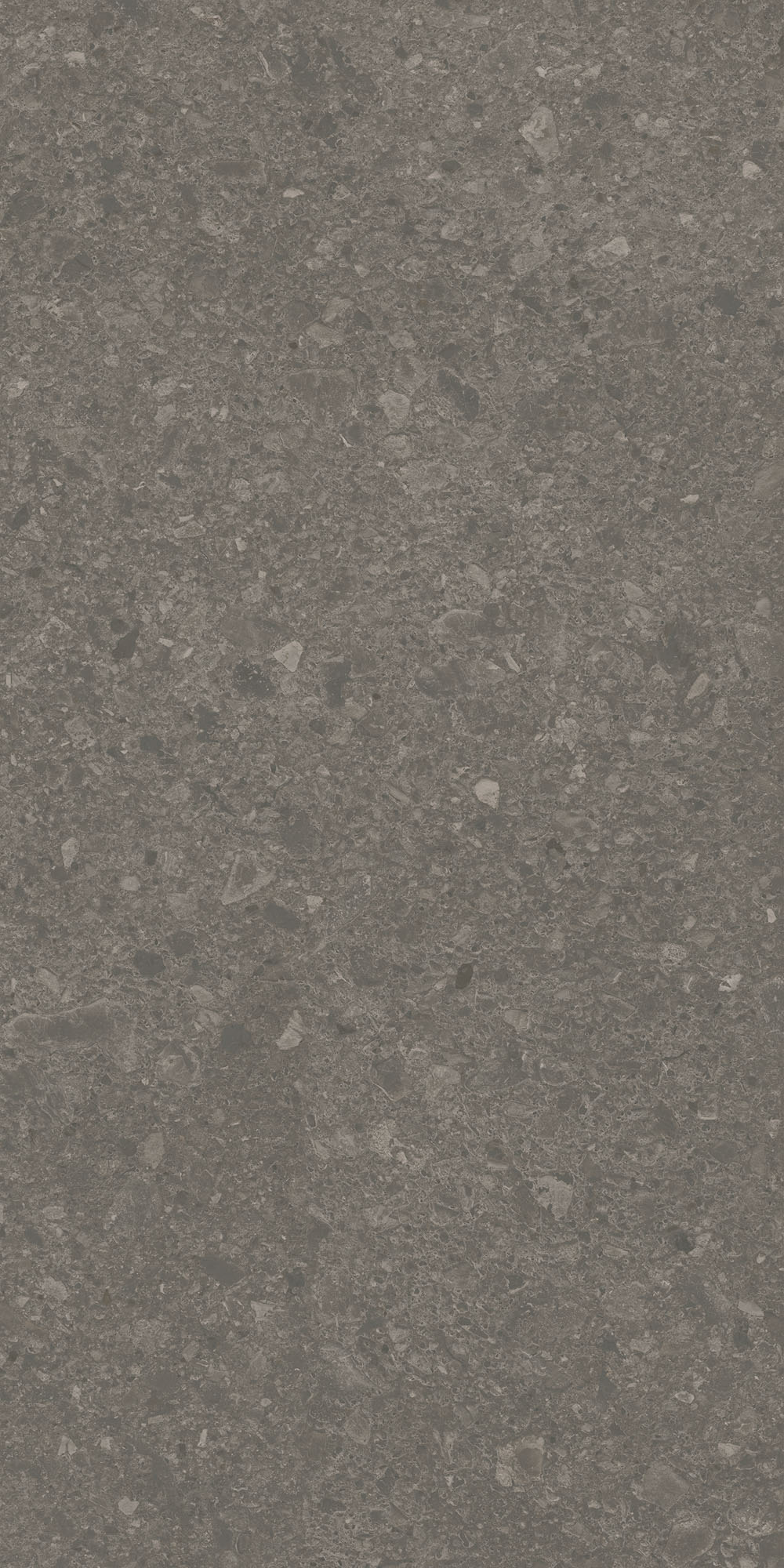 DD591700R На пол Чеппо ди Гре Коричневый матовый обрезной 119.5x238.5x1.1 - фото 4