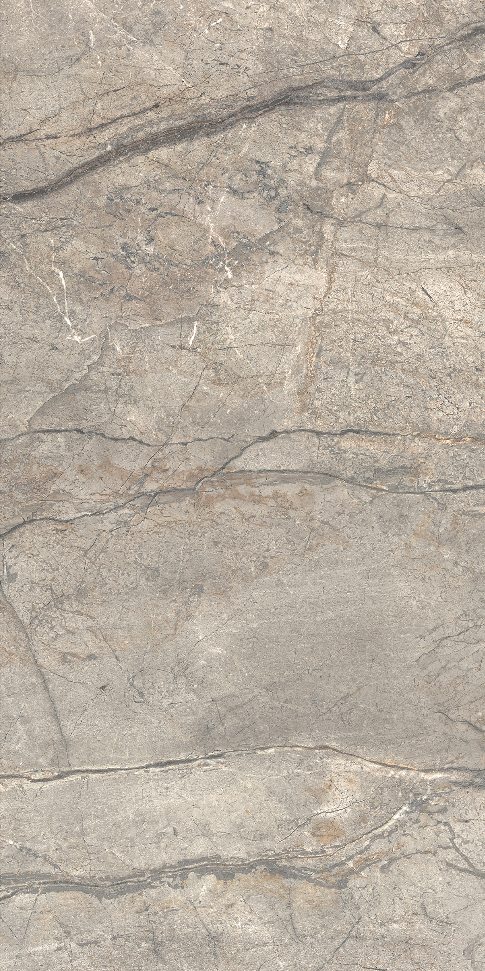 AGB2 На пол Anima Futura Silver Matt R9 60x120 - фото 6