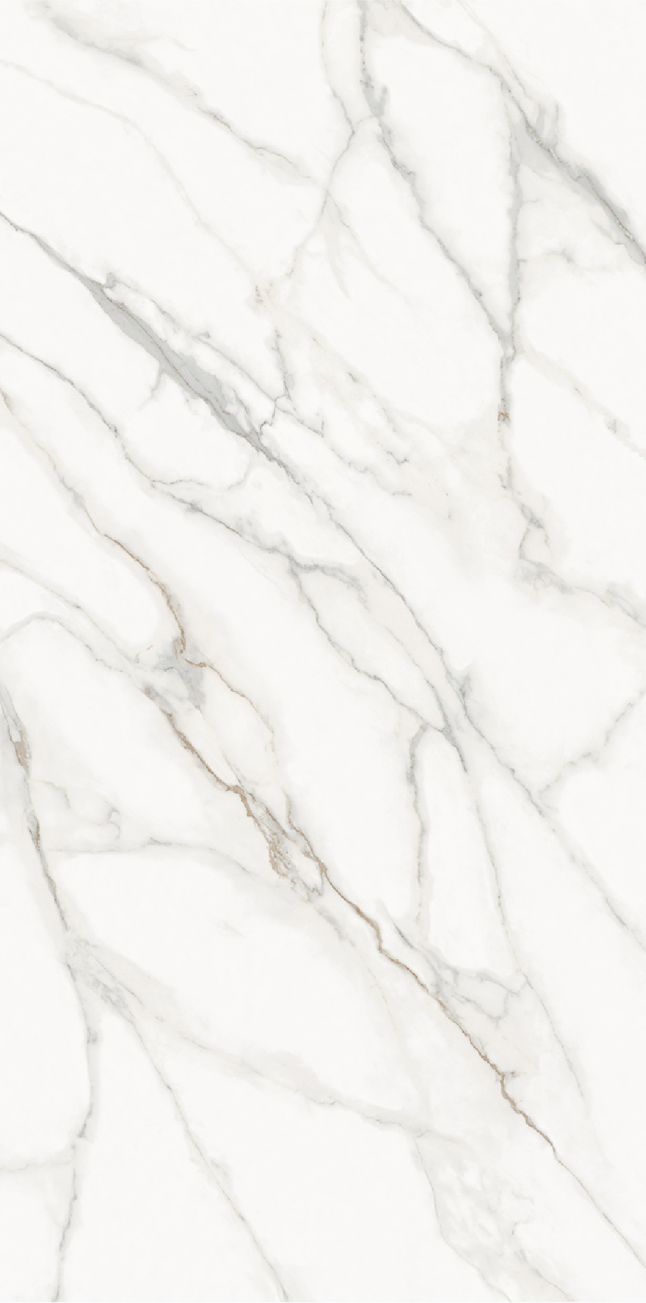 На пол Matt Calacatta Supreme Honed 1600х3200х12