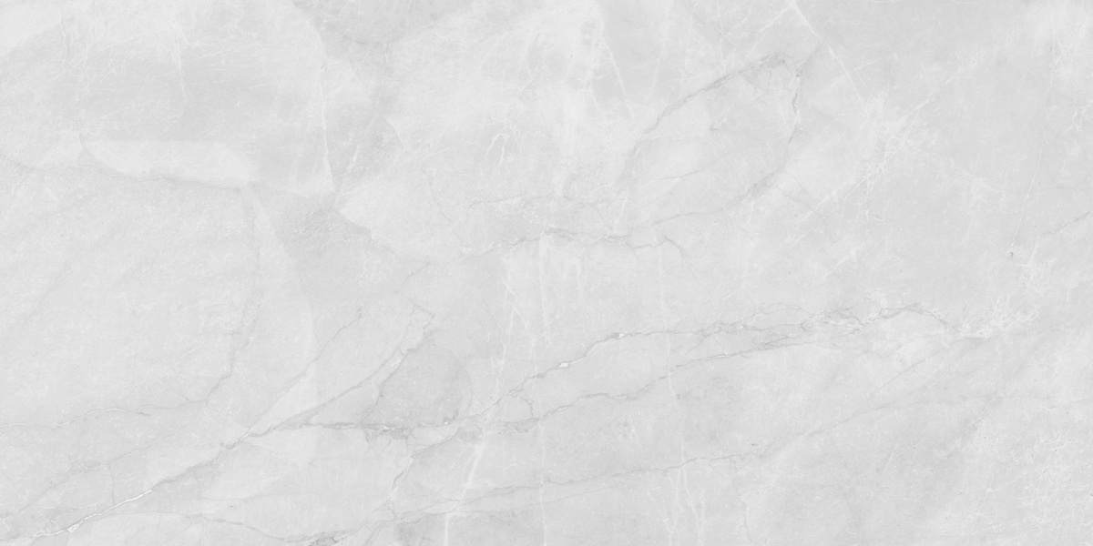 LP6012G0231R  На пол Berna Silver светло-серый матовый 59.5х119.1