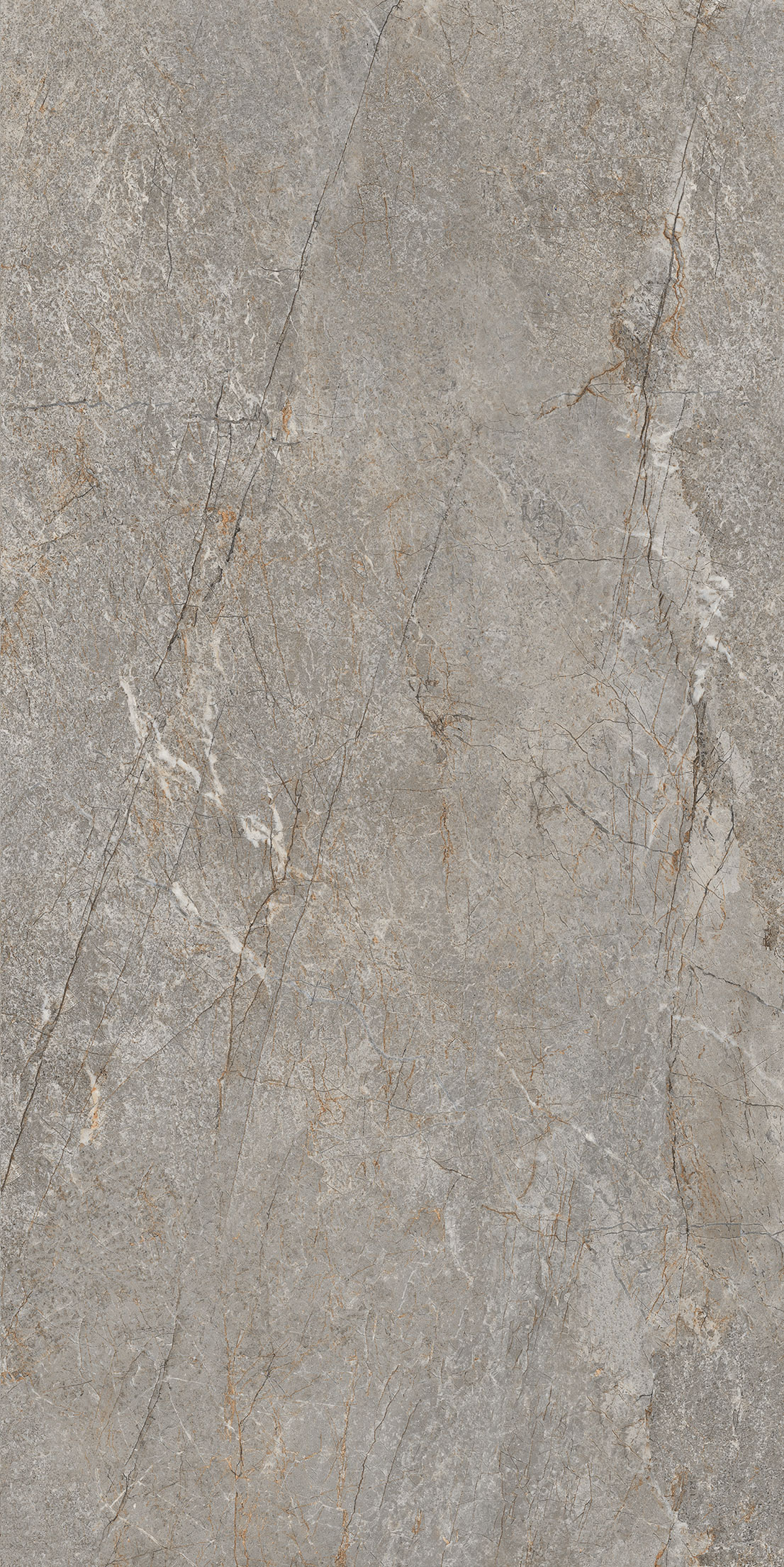 GT1206020804SSDGR  На пол Arizona Коричневый лаппатированный 60x120 - фото 2