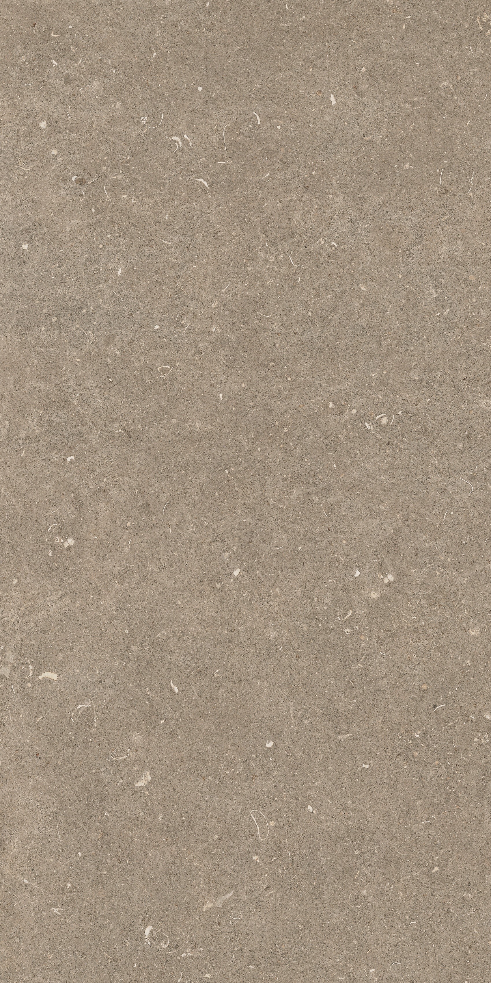 785494 На пол Rinascenza Arena Pietra Grip 60x120 - фото 2