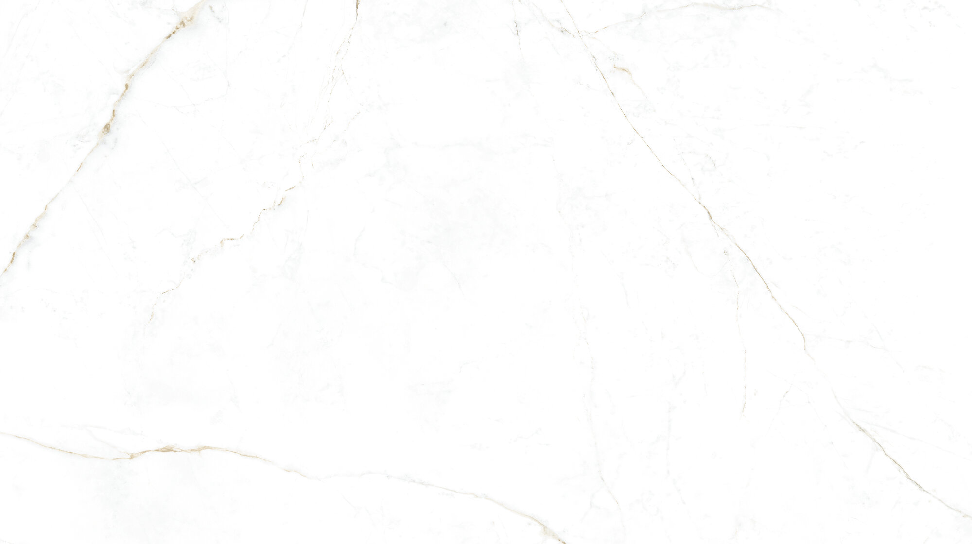 31745 На пол Museum Dual White/100X180/P 100х180 - фото 5