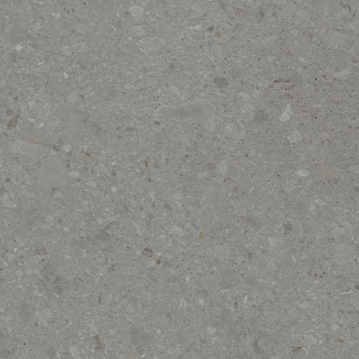 DD012700R На пол Чеппо ди Гре Серый тёмный матовый обрезной 119.5x119.5x1.1 - фото 6