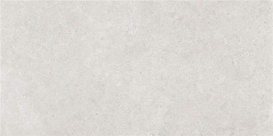 CAN5LEIIBDHA На пол Leiria Greige MT Rect 60x120