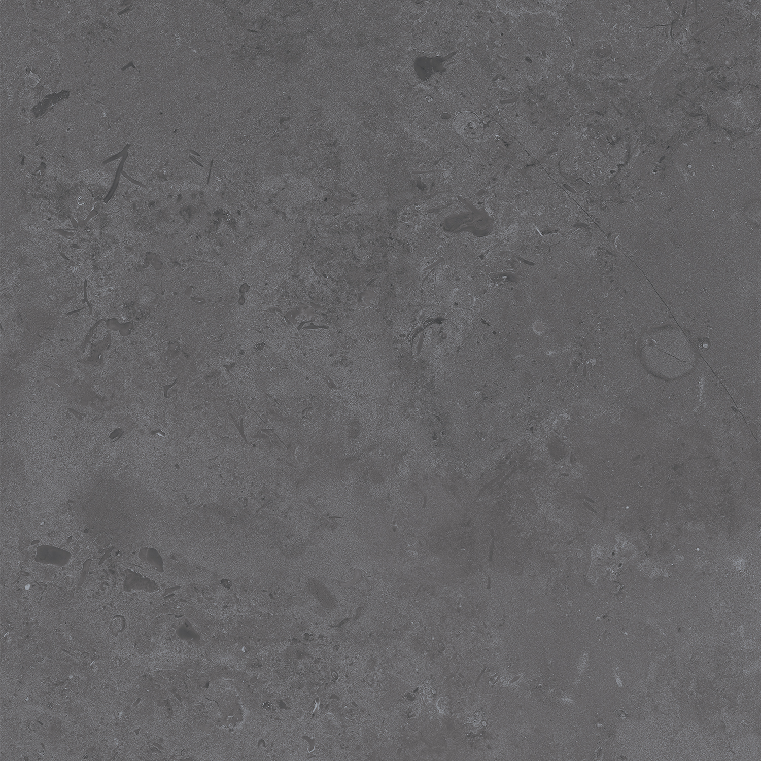 DD640800R На пол Про Лаймстоун Про Лаймстоун Серый Темный Натуральный Обрезной 60х60 - фото 7