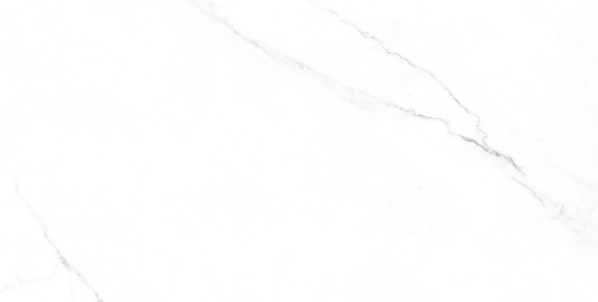 ENMAR1005MT60120 Напольный Marble Carrara Bianco Matt - фото 2