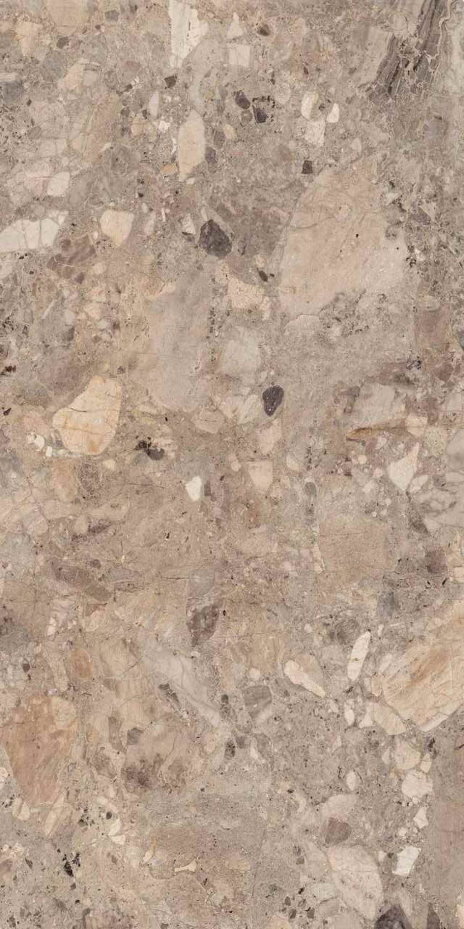 На пол Clio Natural Deck 60x120 - фото 4