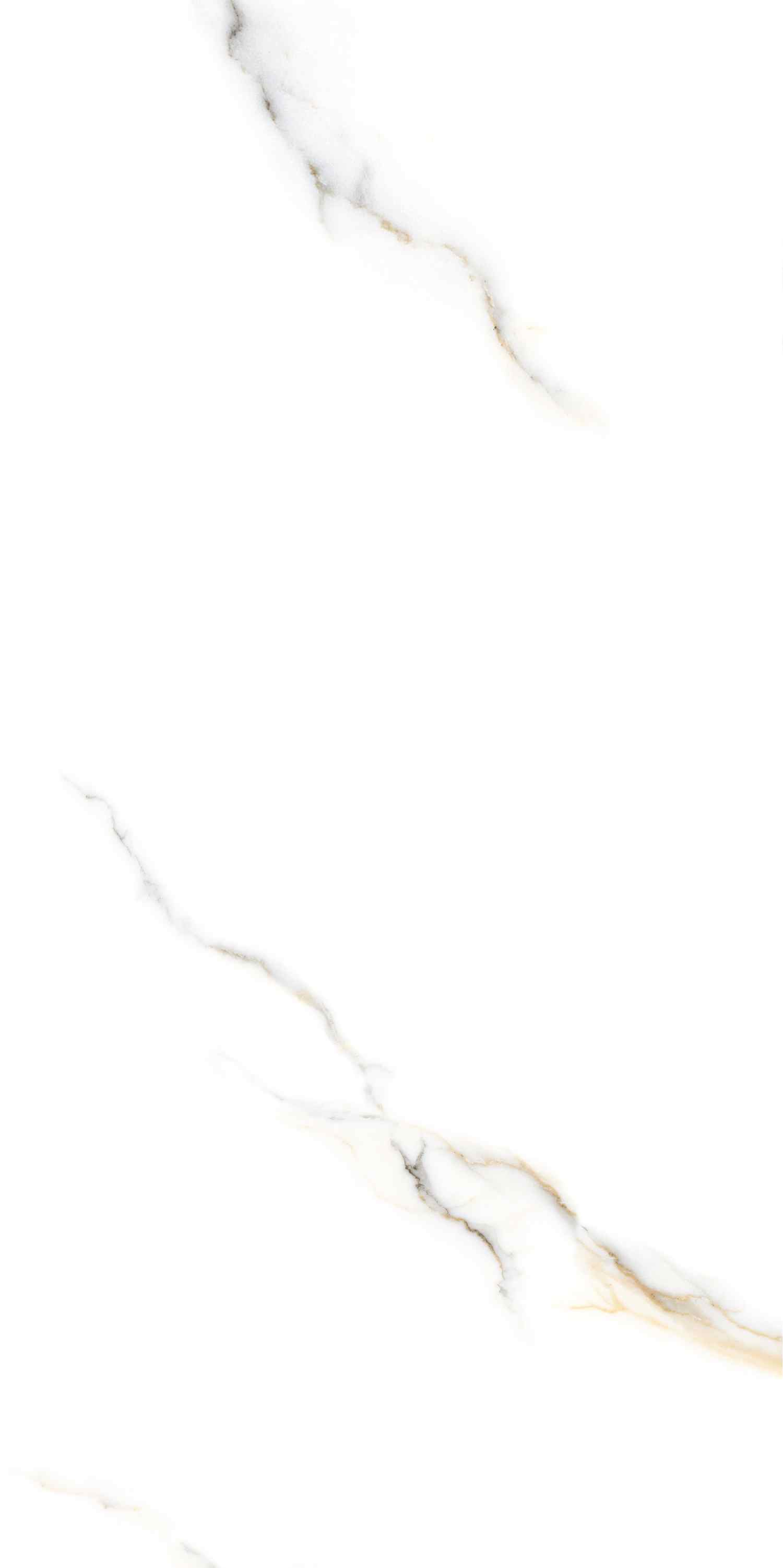 На пол Zoom Satuario Glossy 60х120 - фото 2