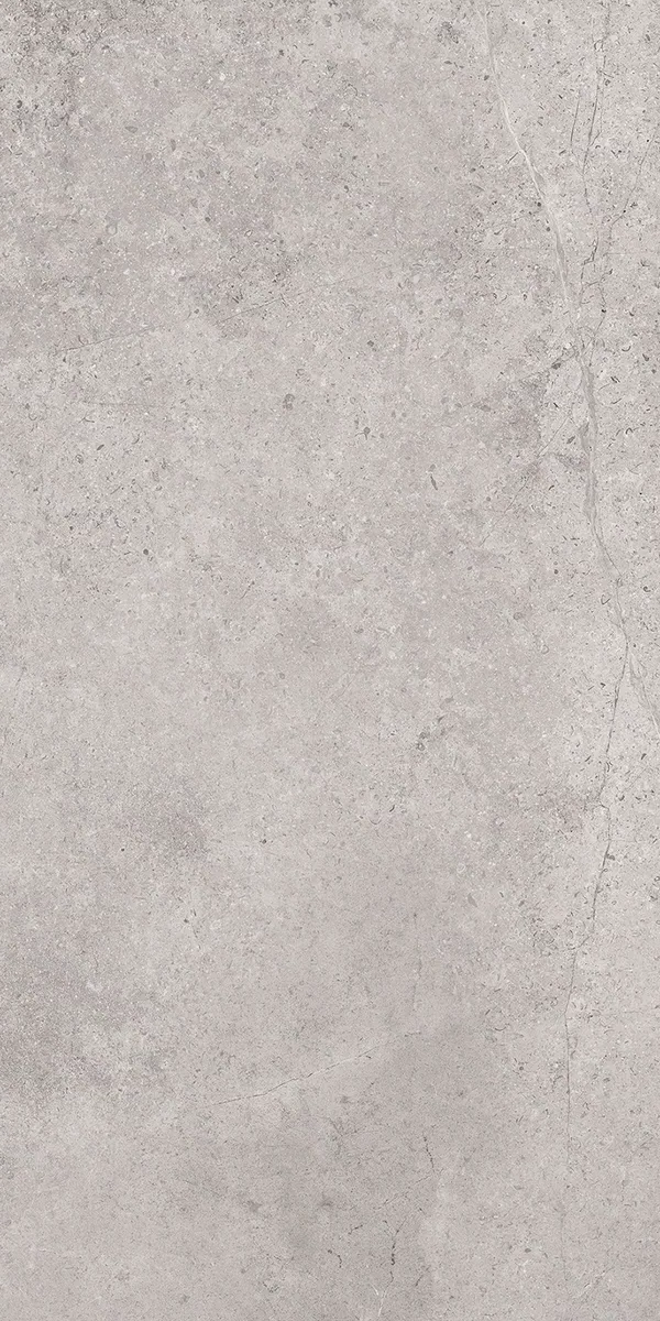 GEA6 12AG RM На пол Gea Argento 60x120