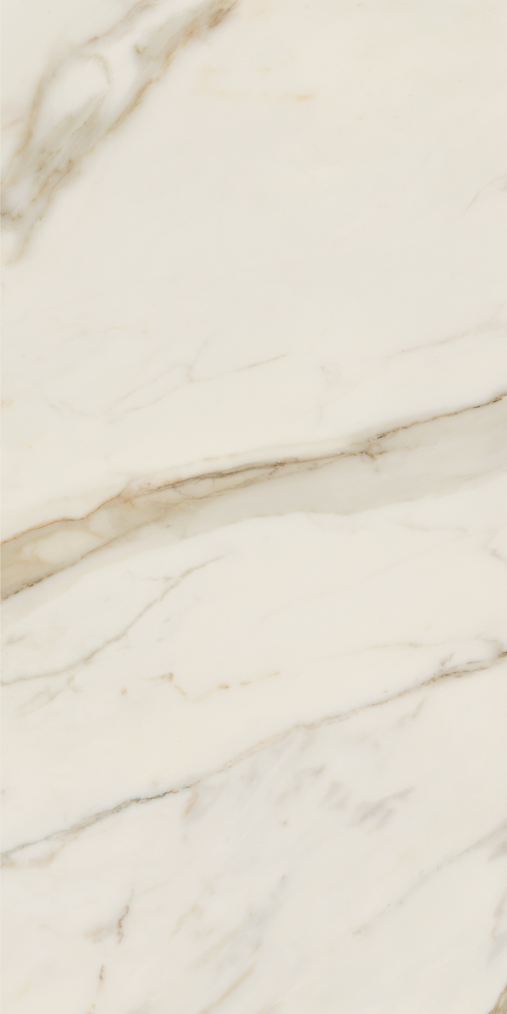 AGB0 На пол Anima Futura Golden White Rt. 120x60 - фото 5