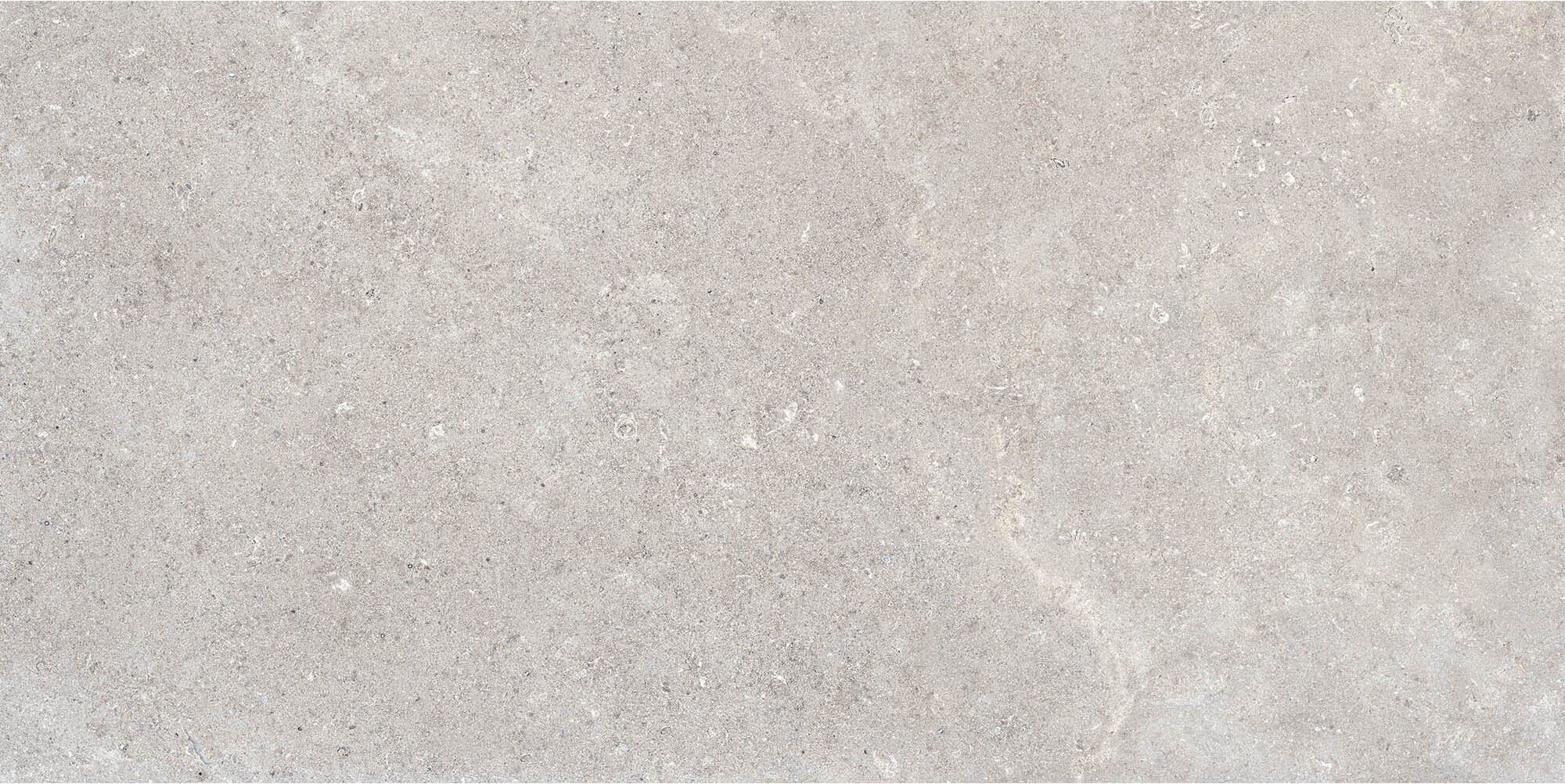 RB92 На стену Coquille Gris Matt-Pro Rett 60x120