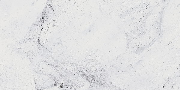 010402001277 На стену Inverno White wall 01 - фото 11