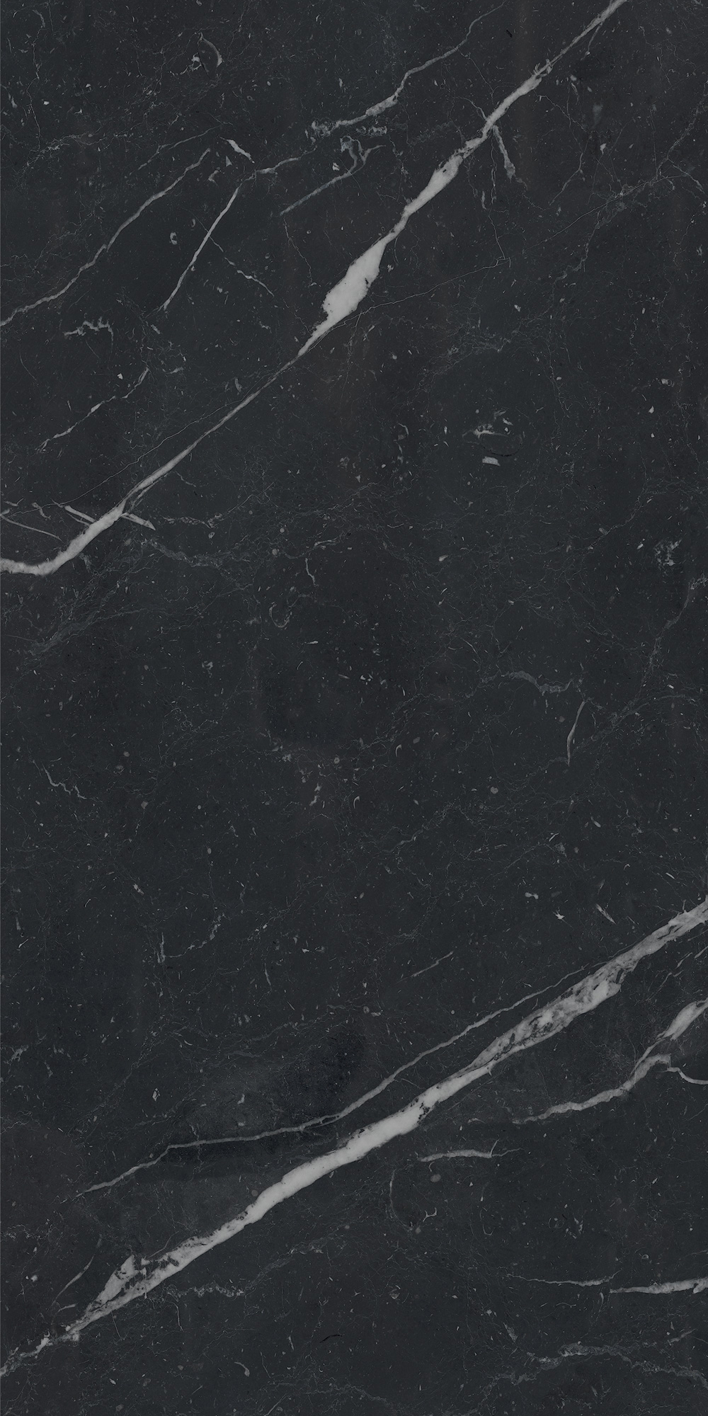 AGB7 На пол Anima Futura Unique Black Luc 60x120 - фото 3