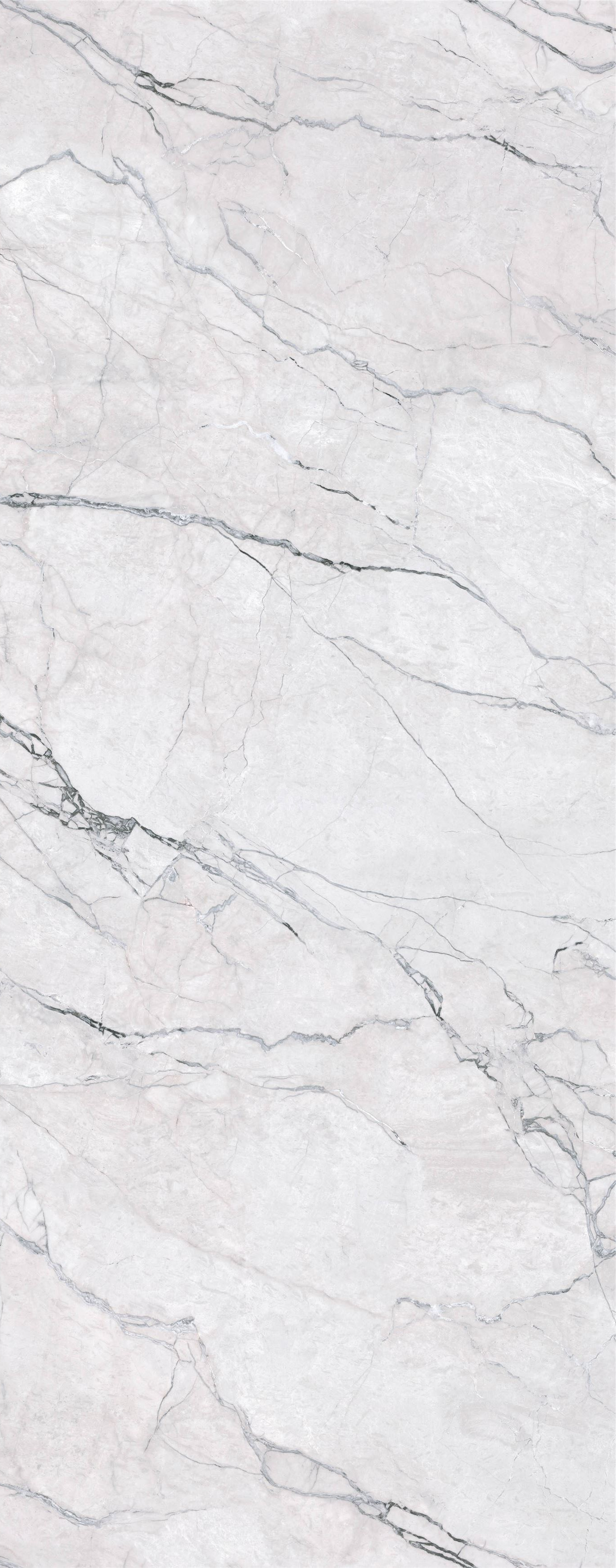 MN257AY301206 На пол Marble Fairy Forest Matt 6mm 120x300 - фото 3