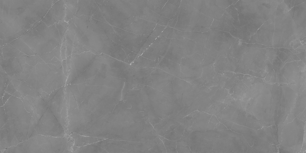 A17131 На пол Electric Mist Серый ректификат 60x120 - фото 6