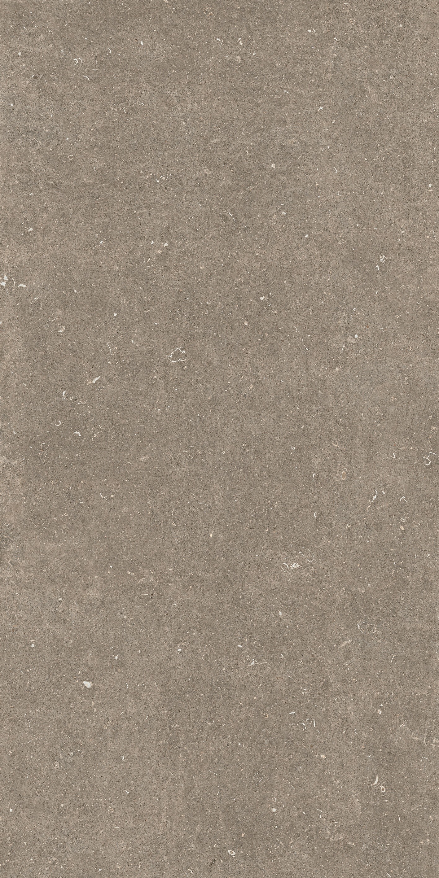 785584 На пол Rinascenza Arena Pietra Matte 6mm 120x240