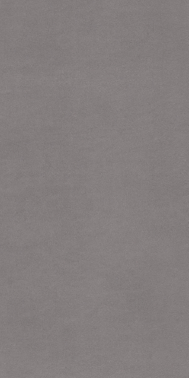 769427 На пол Chimera Radici Grigio Mat Ret 6mm 120x240