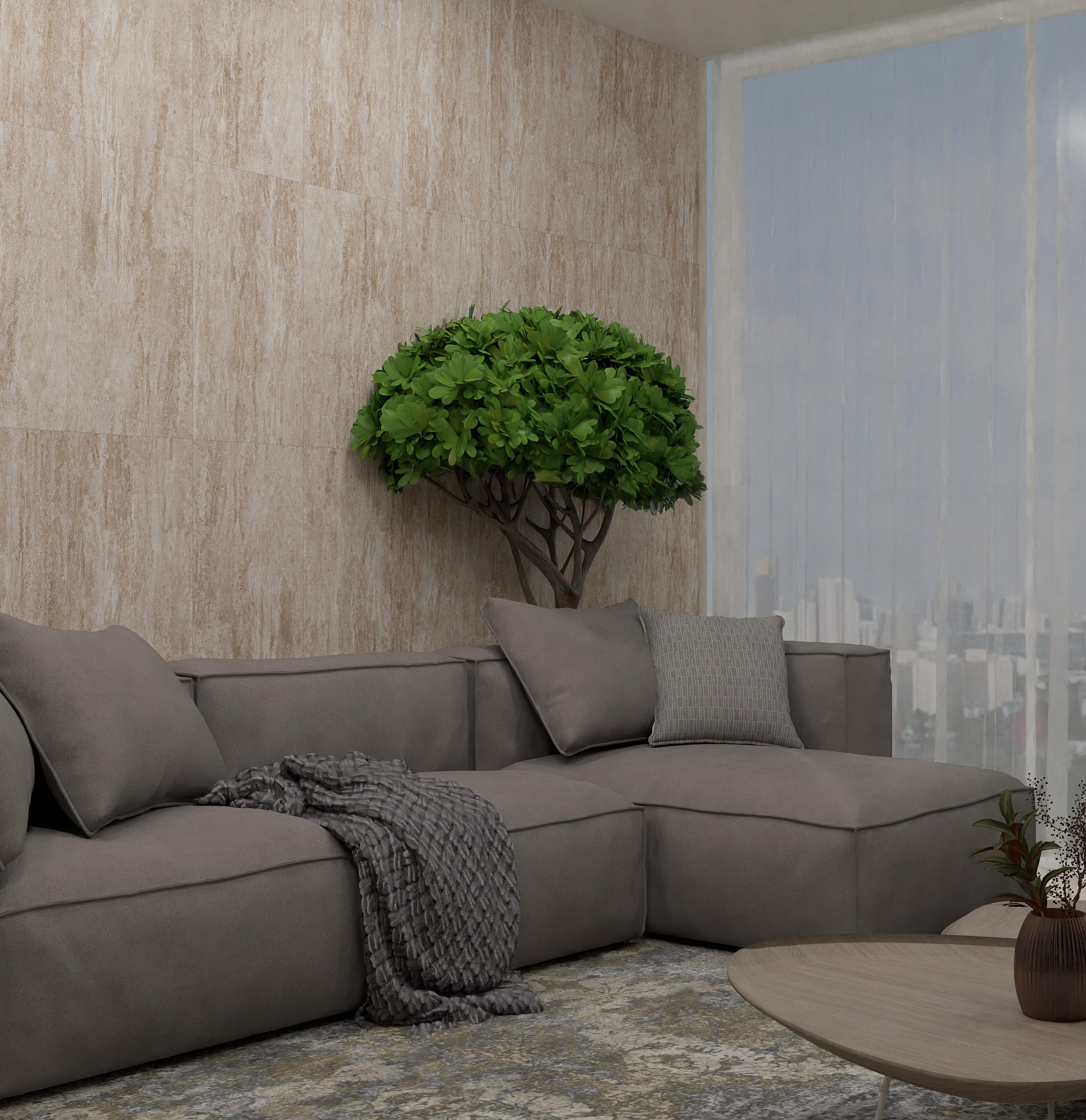 Аксима Salvador