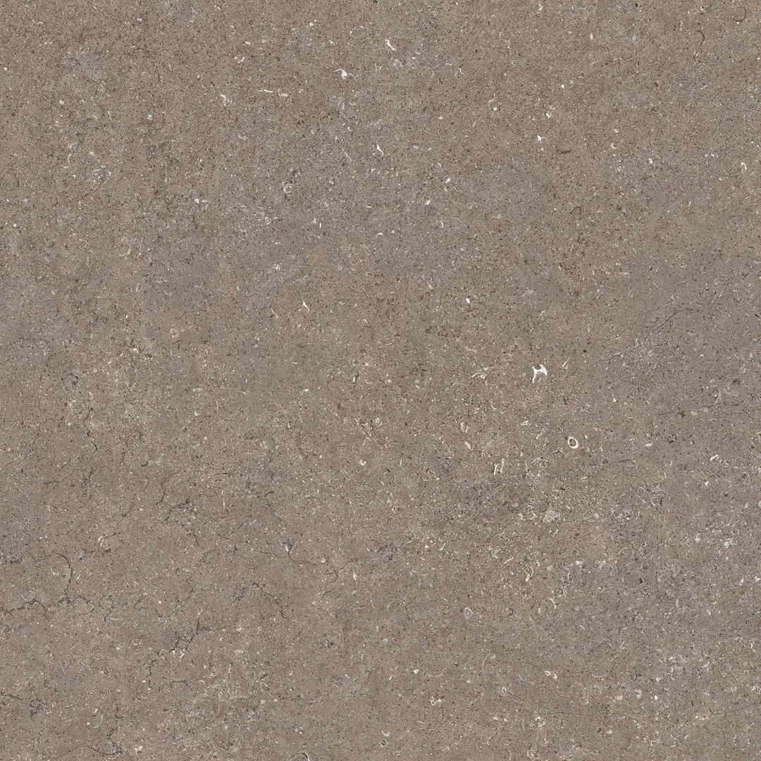 610010002735 На пол Discover Desert 60x60