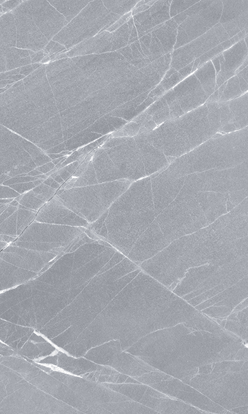 010100000350 На стену Elegance Grey wall 02 - фото 2