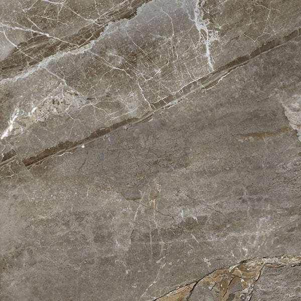 AB 1129G На пол Aquafina Natural Gloss 60x60 - фото 7